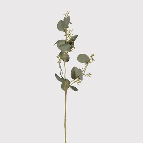 Siena Natural Eucalyptus Leaves with Seeds Spray