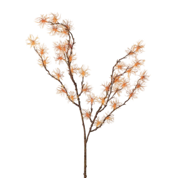 Siena Orange Witch Hazel Spray