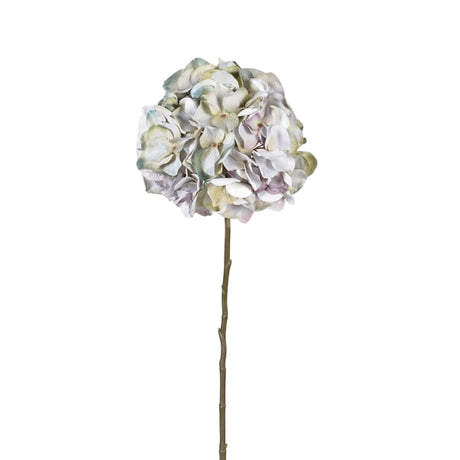 Siena Pale Lavender Hydrangea
