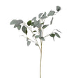 Siena Silver Dollar Eucalyptus Spray