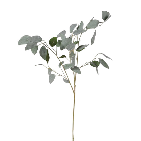 Siena Silver Dollar Eucalyptus Spray
