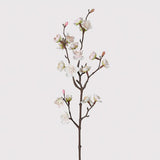 Siena Touch of Blush Plum Blossom Spray
