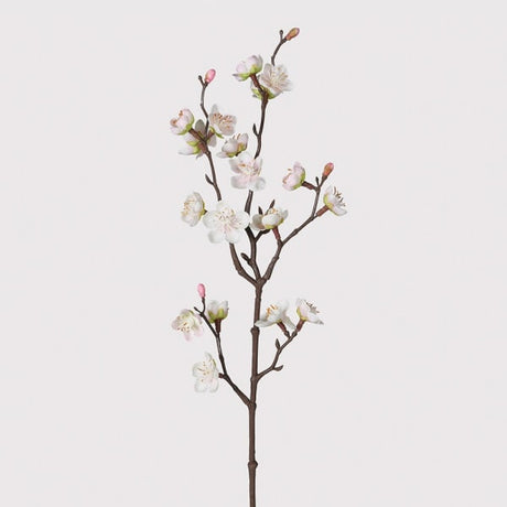Siena Touch of Blush Plum Blossom Spray