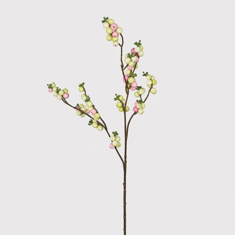 Siena Touch of Blush Snowberry