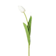 Siena White Tulip Bud Spray with Leaves