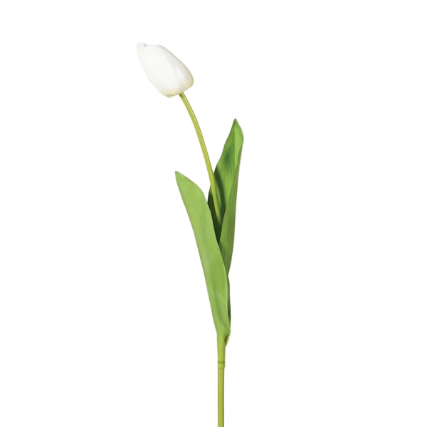 Siena White Tulip Bud Spray with Leaves